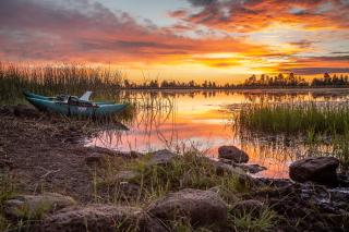 Apache-Sitgreaves National Forests