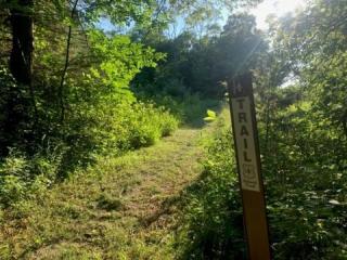 Sun shining on a freshly groomed trail on the Mark Twain National Forest. Photo courtesy of Nate Smith, COMO Trail Association.