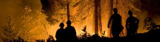 Four wildland firefighters silhouetted by the flames of a forest fire in front at night.