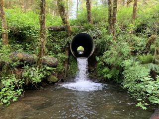 A picture of a culvert allowing water to continue flowing down a stream.