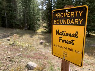 A picture showing a National Forest property boundary sign.