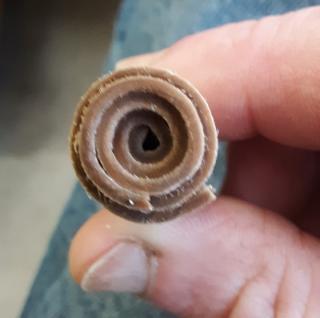 A close-up picture of a person's two fingers holding a small roll or rolled up wood.