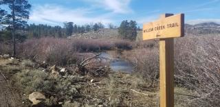 A picture showing a Will Creek Trail and a small creek can be seen beyond the sign.