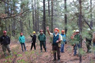 A picture of several forest workers, all wearing hard hats, standing in a group, listening to a speaker in front, talk about a large tree in front of them.
