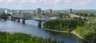 Bridge form the Forest to the City 