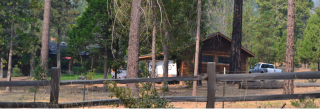 A cabin in a forested area