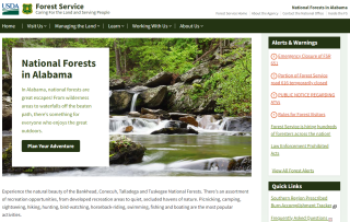 Screenshot of the new site