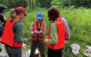 Woman leads a field training session on bumble bee identification