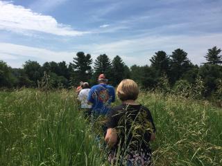 A picture of a small group of people walking single-file through a field with grass up to their shoulders.