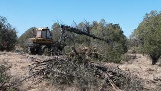 Branches, treetops and small-diameter logs left after a hazardous fuel reduction treatment.  
