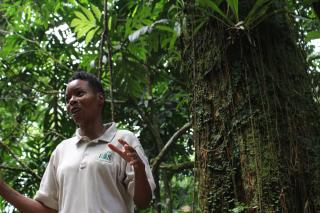 Employee gives nature talk in forest.
