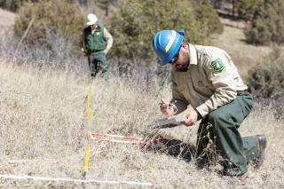 Range technician surveying land