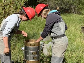 Forest Service employees taking a sample from a fish habitat