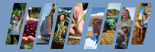 USDA graphic: Large open forward slashes with small photos of people, food, employees in them.