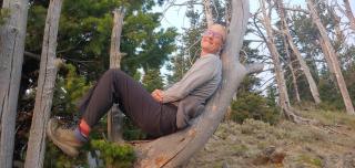 Sara Brown in a tree