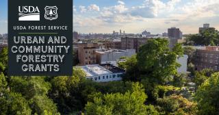 Urban and Community Forestry Grants