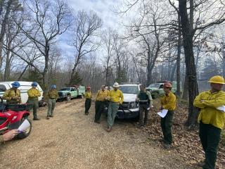 Group of Fs employees gather in the forest, around their vehicles, waiting for event to commence.