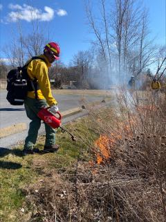From the left side of the photo, a man, wearing firefighting equipment, carries a backpack while lighting a prescribed fire with a small, red can with a nozzle. The man stands by the edge of a paved road, and beyond, in front of the man and to the right side of the photo, dried shrub is already lit on fire.
