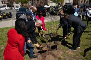 Group of people planting a ceremonial seedling in a New Jersey park.