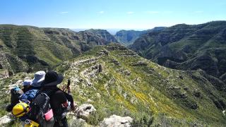 Three people on top of a ridgeline taking pictures of the colorful yellow flowers on the slope of the ridge.