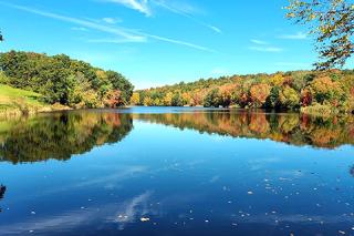 A calm body of water surrounded by trees. Image by Dan Peracchino.