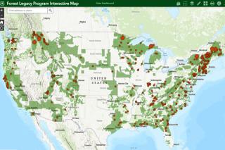 Sons of the Forest 2023 interactive map