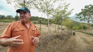A man stands on the left side of the photo, close to the camera. His demoanr suggest he is engaged in talking with someone of camera. To his right, a dirt road extends into the distance, fenced on both sides by trees and cattle. Down the road, a figure is walking away from the camera.