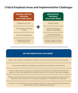 Original critical emphasis challenge areas and new critical emphasis challenge areas.