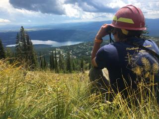 Employee in hard hat crouches in field using binoculars to look into the distant forest and lake under a cloudy sky.