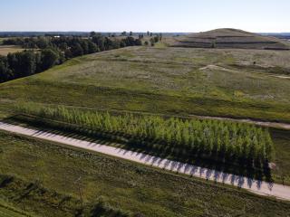 Trees form a buffer near a landfill.