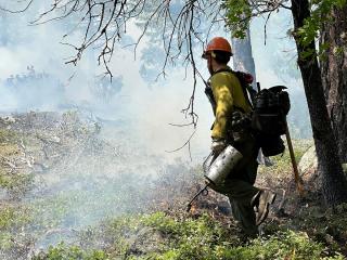 A wildland firefighter carrying drip torch with smoke in forest background.