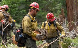 Firefighter carrying small log, with other firefighters in background removing brush.
