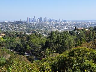 A forest view with a city in the far background