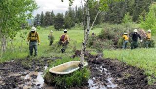 Job Corp Wildland Fire hand crew remove and pile brush.