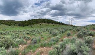 A hilltop of pinyon and juniper trees sit above a sagebrush habitat on a cloudy day, and a power transmission line runs through.