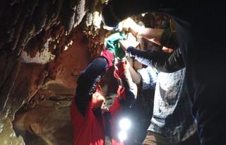 Lima Soto, Maaz Fareedi, and others repair a broken speleothem in Hamilton Cave.