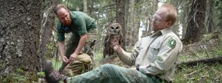 Two men in the forest looking at an owl one of the men is holding.