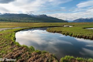 Curve of the water in Potter Marsh, Alaska, under blue skies.