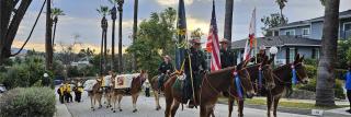 Forest Service pack mules, handlers and firefighters stand in the middle a residential street lined with palm trees and houses.