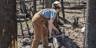 A person in a hard hat and work overalls uses a hand tool to loosen up bare compacted ground.