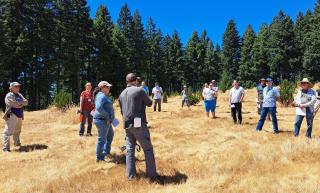 On a bright, sunny day with vibrant blue skies, people stand in a loose circle in a field surrounded by evergreen trees. There are a few seedlings planted in the field.