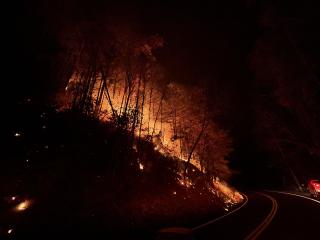 A hillside burns at night, with flames silhouetting the trees against the darkened sky. A road curves along the right side of the image, with an Incident Management Team and their truck standing on the side of the road facing the fire.