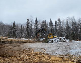 Lightly snow-covered ground. In background, construction equipment is used to harvest tree cover.