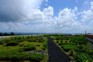 A landscape photo showing a a green rooftop and a bright blue sky