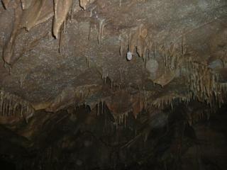 A cave ceiling
