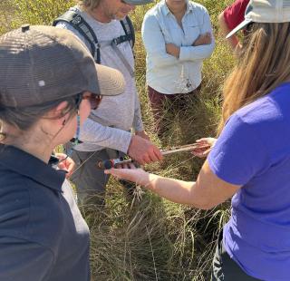 A group of women looking at grassland