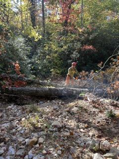 Firefighter using a saw to cut down a fallen tree