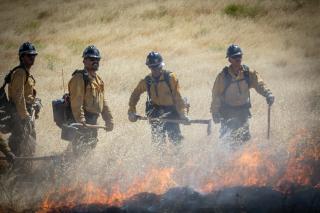 Image shows four wildland firefighters in their gear and hard hats managing a prescribed burn in a wide grassland.