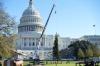 A picture of the U.S. Capitol in the background and the Capitol Christmas Tree being errected and placed in front.