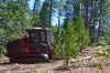 A tractor removing hazardous fuels